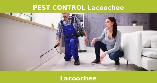 PEST CONTROL Lacoochee
